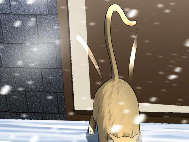 Toàn Cầu Băng Phong: Ta Chế Tạo Phòng An Toàn Tại Tận Thế - Chương 284 - Trang 39